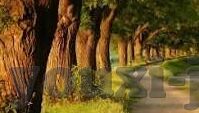 没比分的足球录像-当足球失去比分，一场没有数字的绿茵哲学课