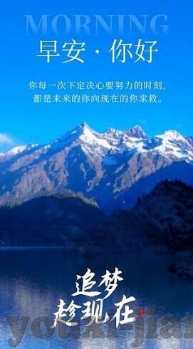足球现场比分直-足球现场比分直播，激情与速度的完美融合